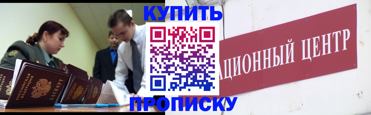 прописка поиск в Зеленогорске